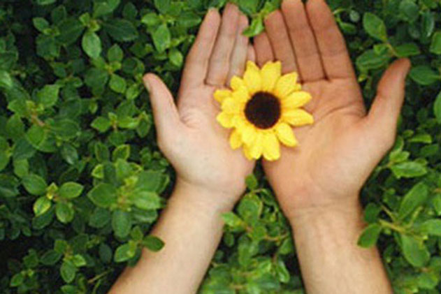 Không phải tiền, không phải địa vị, đây mới là 10 thứ xa xỉ nhất trên đời: Điều số 1 nhất định phải giữ gìn, còn thở là còn trân trọng!