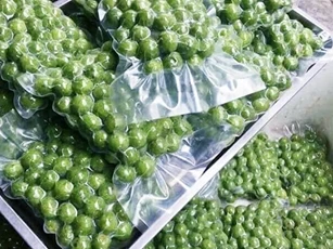 Xuất khẩu 22 tấn quả sấu đông lạnh trị giá hơn 6,5 tỷ đồng sang Úc
