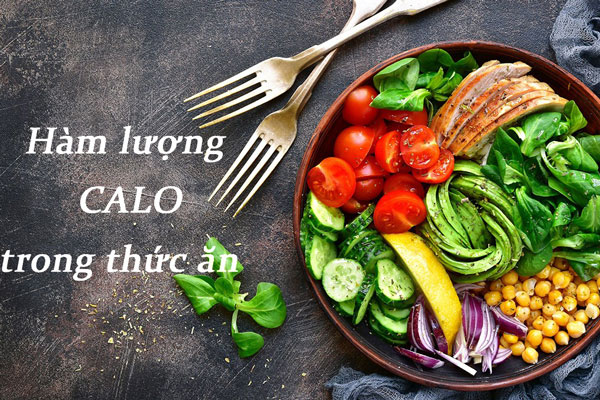 Chế độ ăn calo thấp có giúp tăng tuổi thọ?