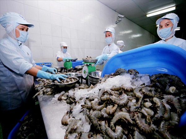 VASEP tha thiết xin Thủ tướng ưu tiên tiêm vaccine cho lao động tại các nhà máy “3 tại chỗ”