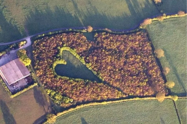 Người đàn ông trồng khu rừng 6.000 cây tưởng nhớ vợ, 17 năm sau người ta mới phát hiện bí mật sâu kín không phải ai cũng thấy được