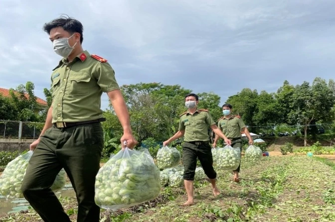 Giúp nông dân thu hoạch nông sản