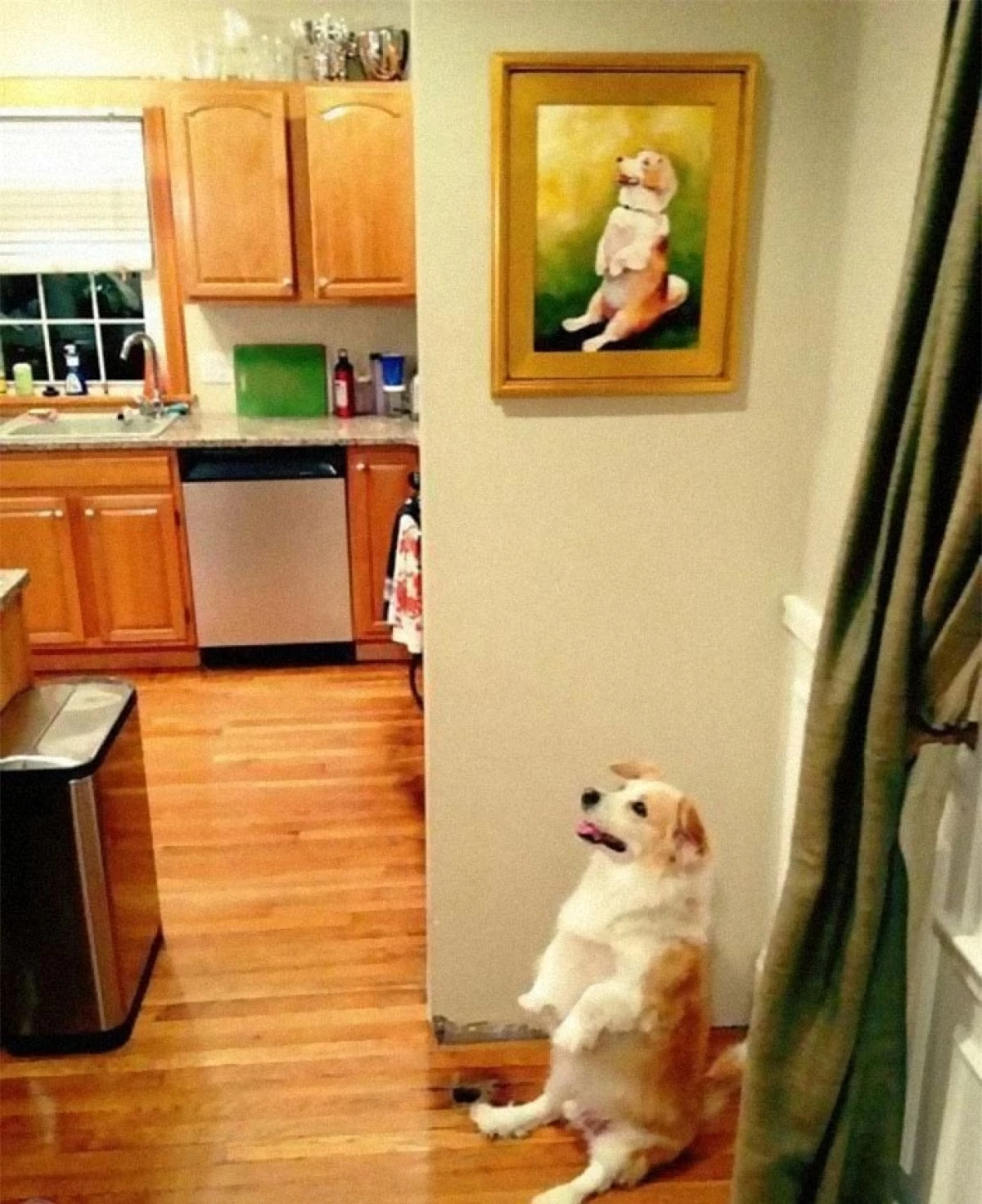 Biểu cảm và hành động của chú chó giống hệt bức ảnh.
