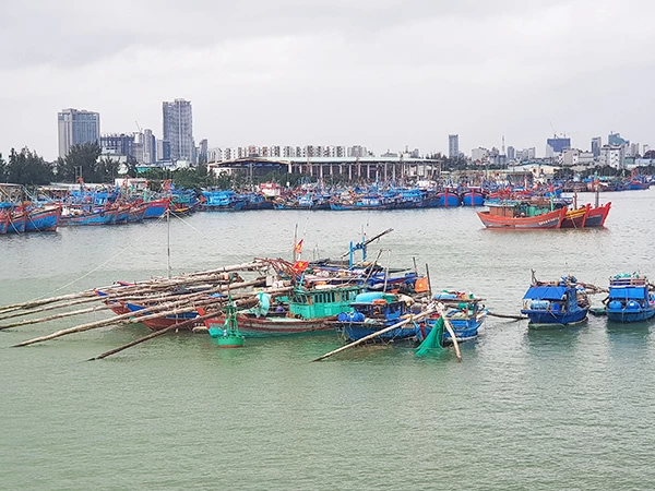 TP Đà Nẵng tiếp tục tạm dừng hoạt động Cảng cá Thọ Quang cho đến khi có thông báo mới để đảm bảo kiểm soát được tình hình dịch bệnh