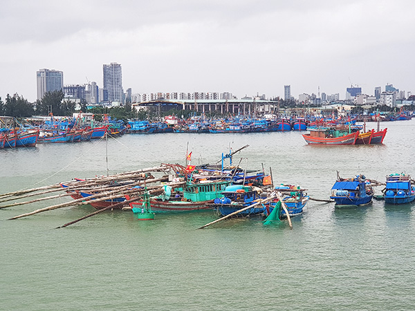 Đà Nẵng: Tiếp tục tạm dừng hoạt động Cảng cá Thọ Quang, truy vết cho hết tất cả người có liên quan