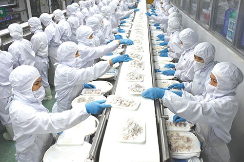 VASEP kiến nghị một loạt giải pháp hỗ trợ doanh nghiệp thủy sản "sống chung với đại dịch"