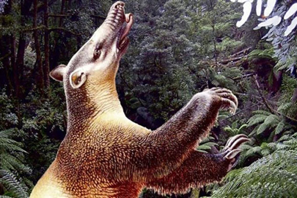 Huyền bí loài heo quỷ trong truyền thuyết ở Papua New Guinea