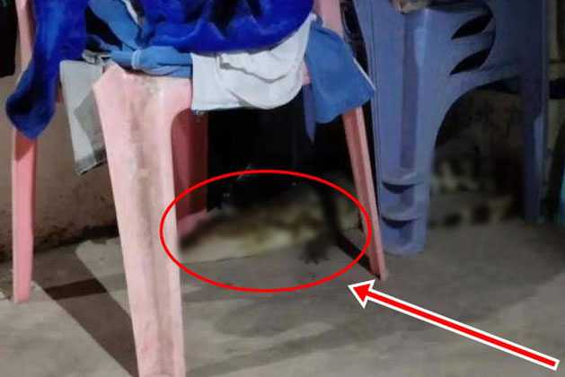 Nửa đêm nghe được âm thanh lạ trong nhà, vừa ngó xung quanh quan sát, người phụ nữ lập tức hét lên vì thấy cảnh tượng kinh dị