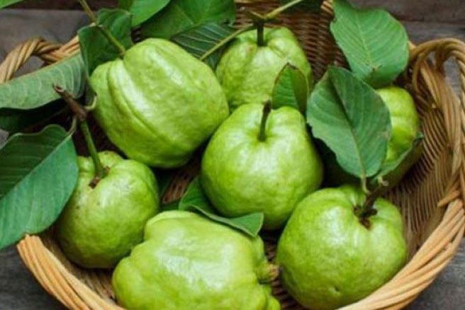 Trổ tài làm siro ổi nâng cao sức khỏe trong mùa dịch