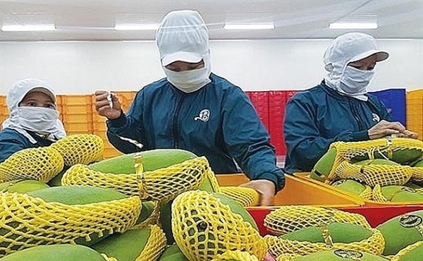 7 tháng đầu năm, xuất khẩu nông lâm thủy sản tăng 26,7% so với cùng kỳ 2020