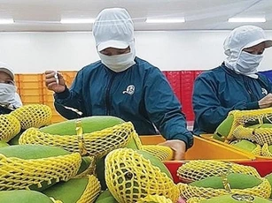 7 tháng đầu năm, xuất khẩu nông lâm thủy sản tăng 26,7% so với cùng kỳ 2020
