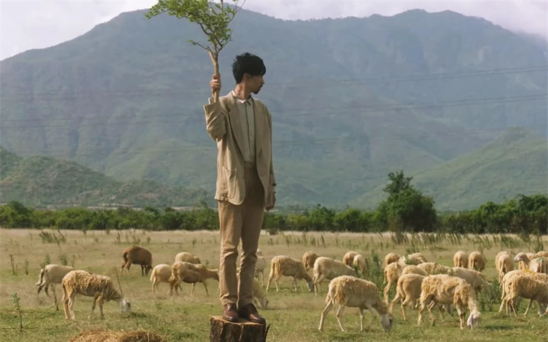 Đồng cừu An Hòa: Điểm “check-in” gây sốt ở Ninh Thuận  -0
