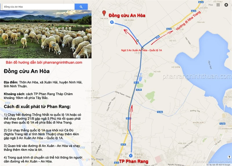 Đồng cừu An Hòa: Điểm “check-in” gây sốt ở Ninh Thuận  -0
