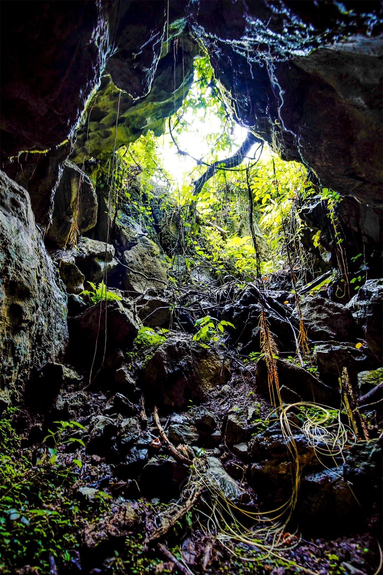 Khám phá hang Chà Lòi, Quảng Bình -0