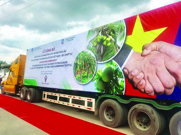 Sau một năm thực thi EVFTA: Những "trái ngọt" ban đầu