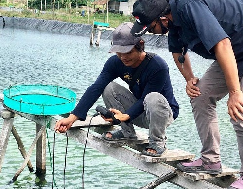 Doanh nghiệp Việt Nam được chọn hỗ trợ chuyên sâu trong công nghệ nông nghiệp