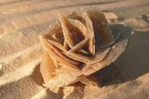 Có một loại đá đặc biệt ở sa mạc, hướng dẫn viên khuyên nhìn thấy hãy nhặt lên ngay kẻo 'hối hận cả đời'