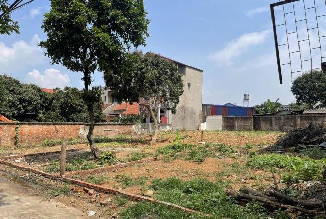 Bất động sản giá rẻ vẫn hút khách trên thị trường