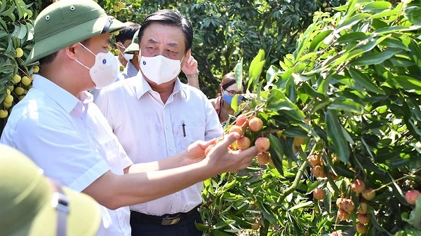 Bộ trưởng Lê Minh Hoan: Ngành nông nghiệp cam kết sẽ đơn giản hóa các thủ tục, minh bạch hóa các khái niệm.