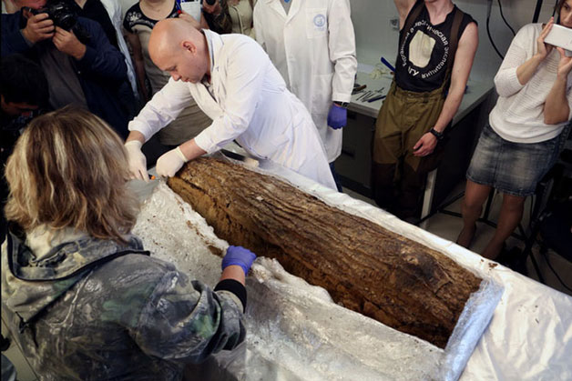 Tìm thấy bọc vỏ cây bí ẩn, các chuyên gia tò mò mở ra: Chứng kiến thứ bên trong, không ai nói nên lời!