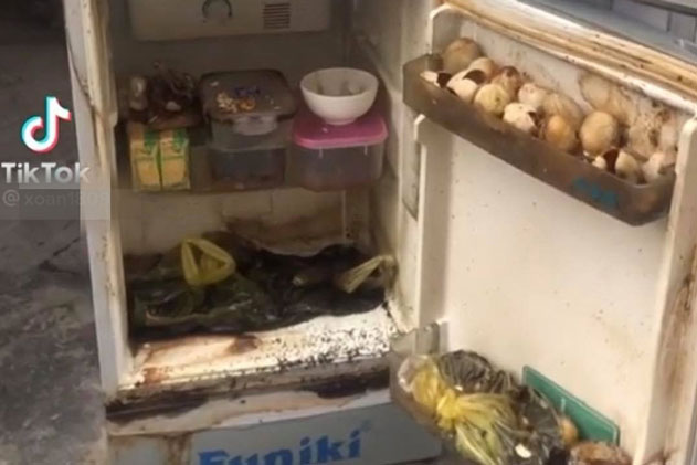 Không dọn tủ lạnh trước khi về quê tránh dịch, cô gái "khóc thét" khi nhìn thấy cảnh tượng rợn người bên trong