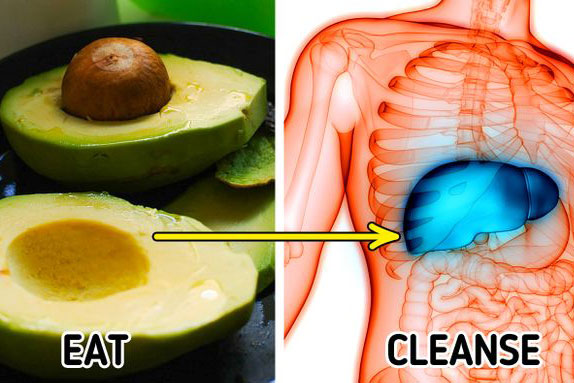 7 thực phẩm giúp thanh lọc cơ thể toàn diện từ sâu bên trong