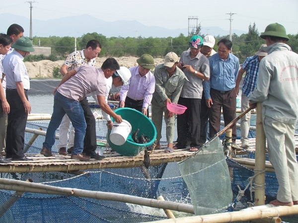 Hà Tĩnh: Chậm đền bù thiệt hại do "sự cố" môi trường biển khiến DN chết yểu lần 2, "phao cứu sinh" vẫn nằm trên giấy (?)