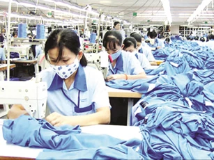 Lao động bị ngừng việc do cách ly cần giấy tờ gì để nhận hỗ trợ?