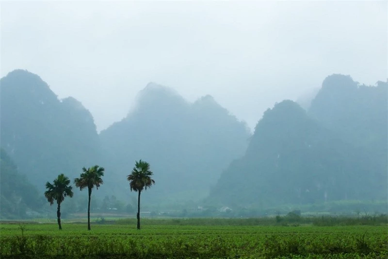 dia-diem-o-quang-binh-quay-phim-kinh-kong