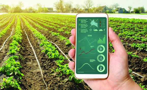 Ngày 11/8, kết nối trực tuyến hỗ trợ tiêu thụ nông sản lên sàn thương mại điện tử