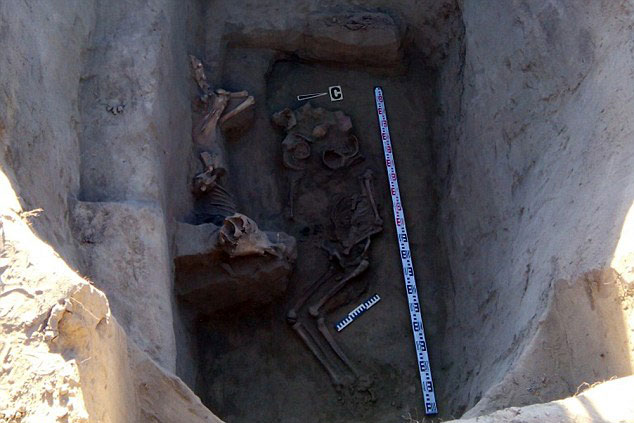 Khai quật ngôi mộ của vị vua cổ đại chứa đầy ngựa và vàng bạc