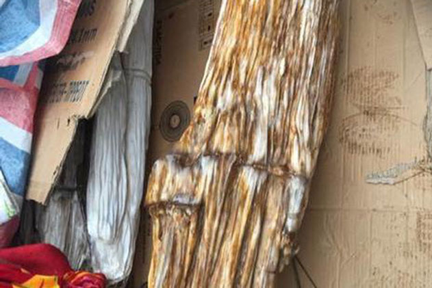 'Khúc gỗ' lạ bỗng có điều bất thường, khi biết giá trị thật, chủ nhân của nó ‘đứng không vững’