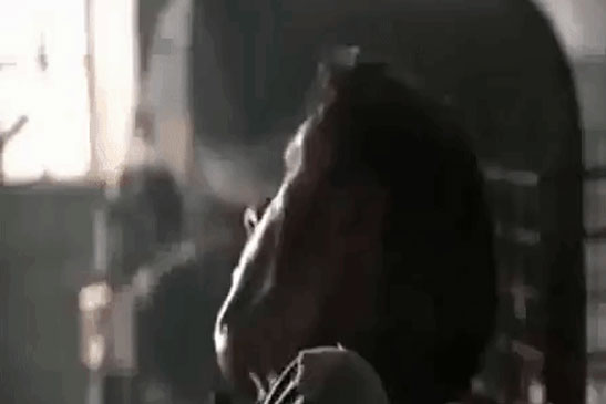 Bí mật của chất độc giết chết "bất cứ thứ gì" có dây thần kinh và nhịp tim: Cỡ hạt muối cũng khiến 1 người xuống mồ