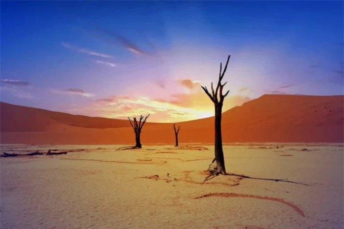 Những thân cây Acacia đã chết tạo nên khung cảnh độc đáo ở Dead Vlei, Namibia.