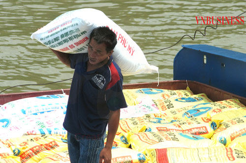 'Mùa vụ đắng' của các nông hộ giữa đại dịch COVID-19