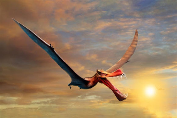 Phát hiện loài quái vật đáng sợ giống rồng trong truyền thuyết