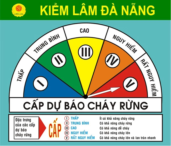 Nguy cơ cháy rửng trên địa bàn Đà Nẵng đã lên đến cấp báo động cao nhất