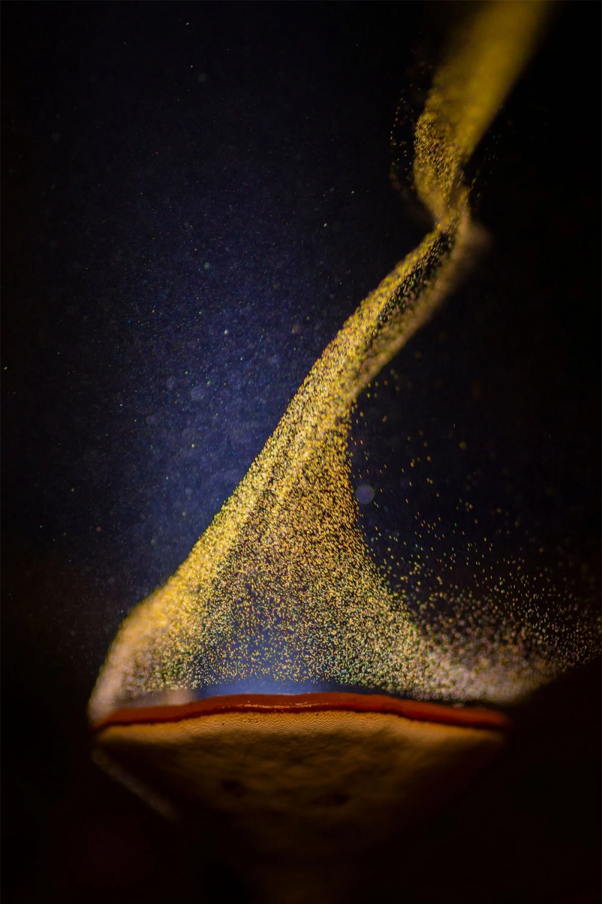 Bức ảnh "Chiếc Cốc lửa" của tác giả Sarang Naik chụp tại Toplepada, Ấn Độ cho thấy khoảnh khắc độc đáo khi một cây nấm đang phát tán bào tử dưới ánh đèn.