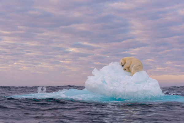 Chiêm ngưỡng những khoảnh khắc ấn tượng của tự nhiên