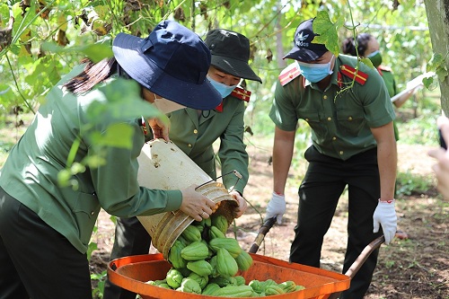 Đắk Lắk: Nhiều nông dân tặng cả vườn nông sản cho lực lượng phòng, chống dịch