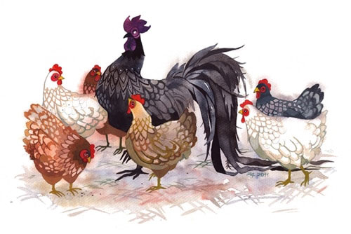 Người ở ba tuổi này có tài kinh doanh thiên bẩm, giàu có hơn người