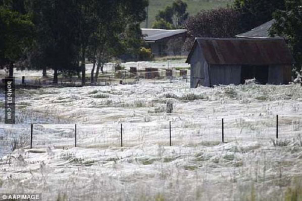 Bí ẩn về 'tóc thiên thần' từ trên trời rơi xuống khiến con người không dám lại gần