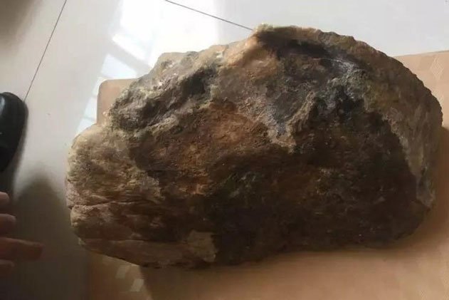 Mang viên đá 80kg về nhà “xẻ thịt”, người đàn ông không nói nên lời khi nhìn vào thứ ẩn giấu bên trong