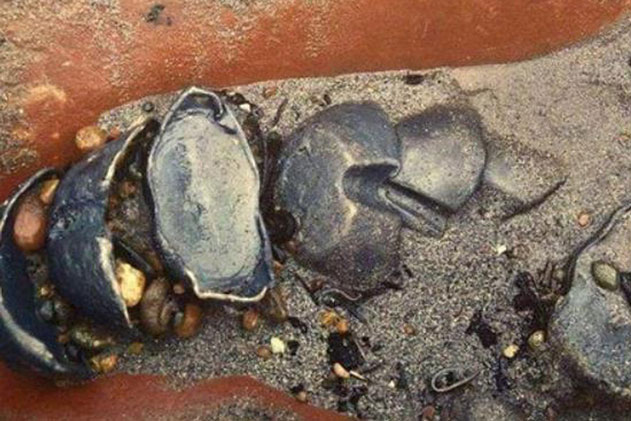 Mò được vật thể bằng vàng trên sông, người nông dân vô tư mang đi bán, 3 tháng sau cảnh sát tìm đến tận nhà