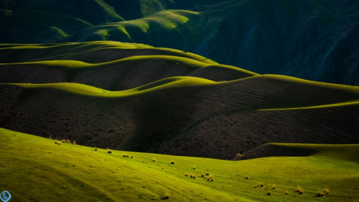 Cận cảnh đồng cỏ được ví như “tấm lưng trần của thiếu nữ”