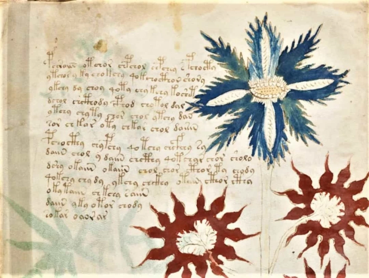 Hơn 500 năm qua, có một đoạn văn được viết bằng thứ ngôn ngữ không rõ là gì và cũng không rõ là tác giả là ai. Cho tới nay, vẫn chưa có ai hiểu được đoạn văn bản được gọi là bản thảo Voynich này.