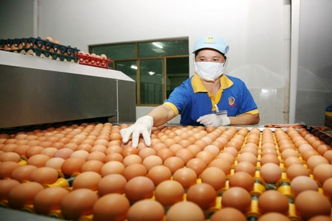 Kinh tế Việt Nam vẫn có những điểm sáng khích lệ