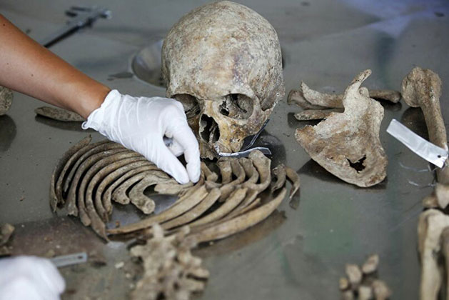 Phát hiện rùng rợn bên trong hang động dài 1.500m: 'Kẻ sưu tập hàng trăm nghìn bộ xương' lộ diện