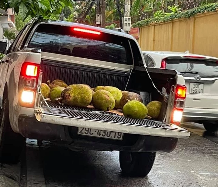 Xe mít được chở từ trang trại về bán góp tiền vào quỹ mua gạo.