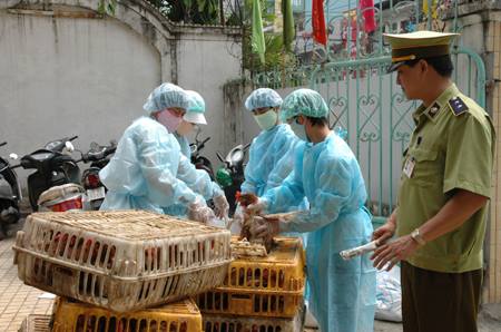 Si&#x1EBF;t ch&#x1EB7;t ki&#x1EC3;m so&#xE1;t nh&#x1EAD;p l&#x1EAD;u gia c&#x1EA7;m qua bi&#xEA;n gi&#x1EDB;i ph&#xED;a B&#x1EAF;c